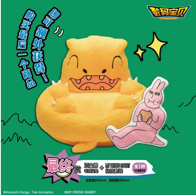 Cushion/Pillow Set