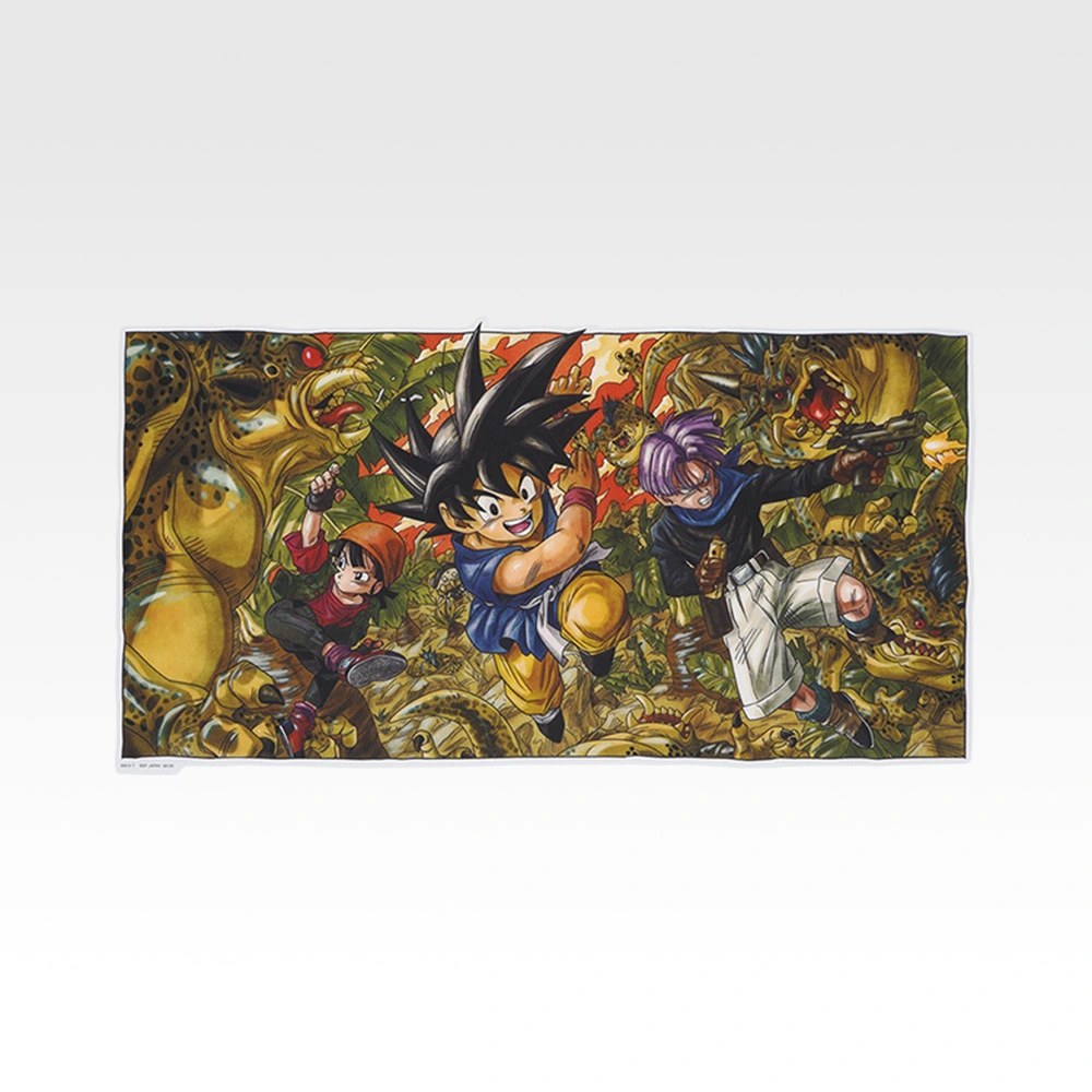 H) Illustration Board