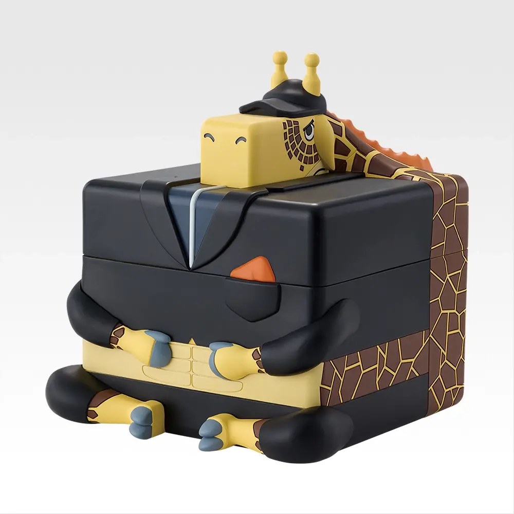 E) Accessory Case
