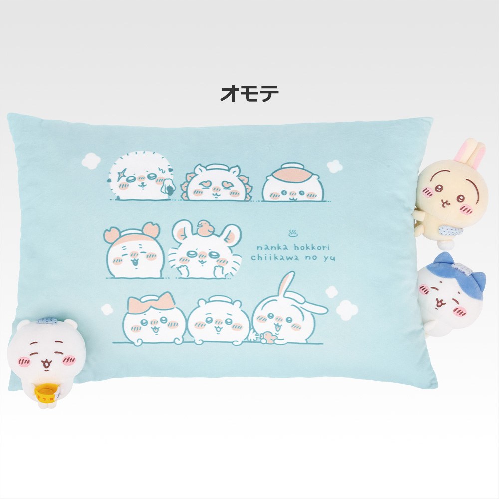 LAST) Cushion