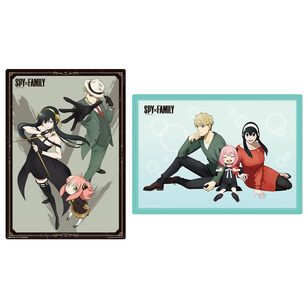 C) Illustration Board