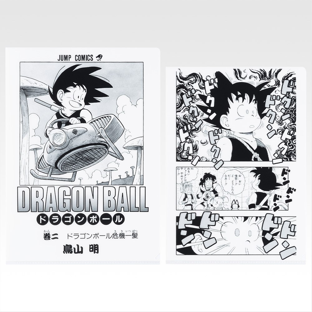 G) Folder