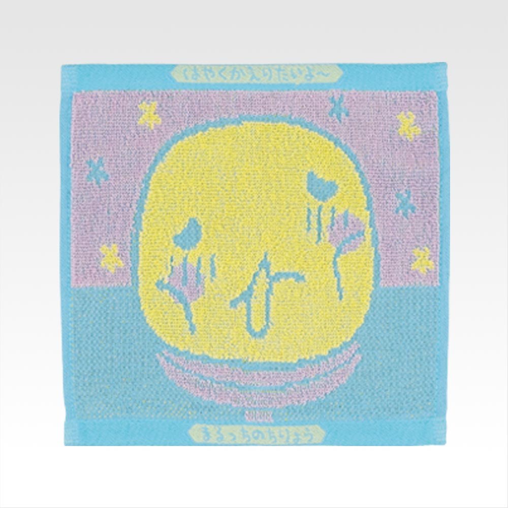 F) Pouch/Towel