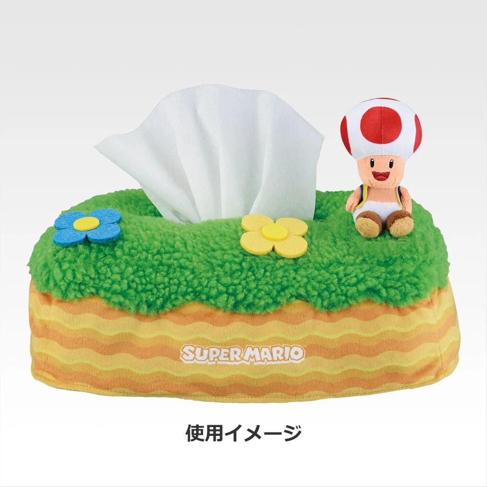 B) Tissue Box Case