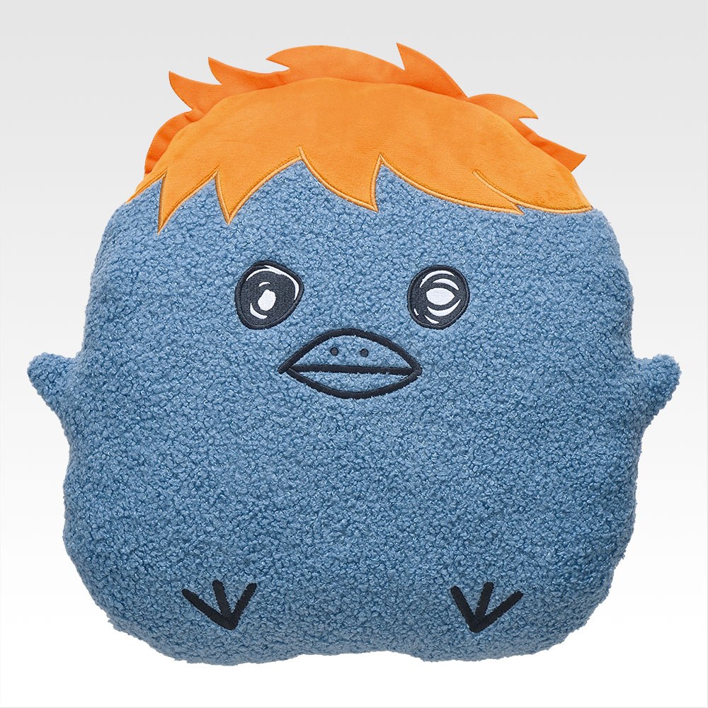 C) Cushion