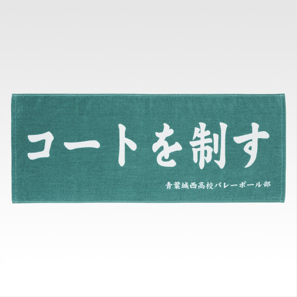 D) Towel