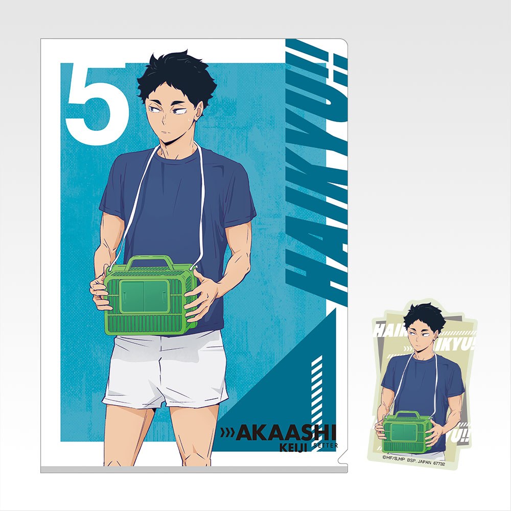 G) Illustration Sheet/Folder/Sticker
