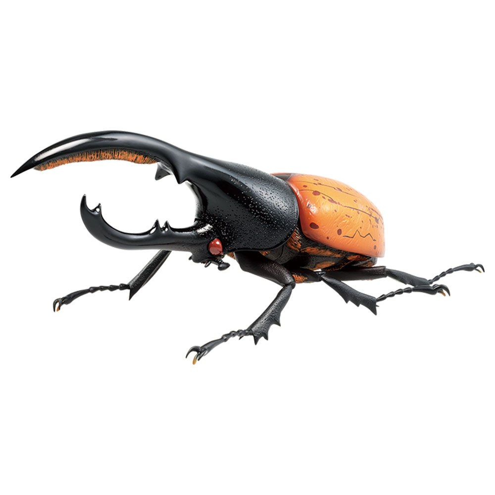 D) Figure