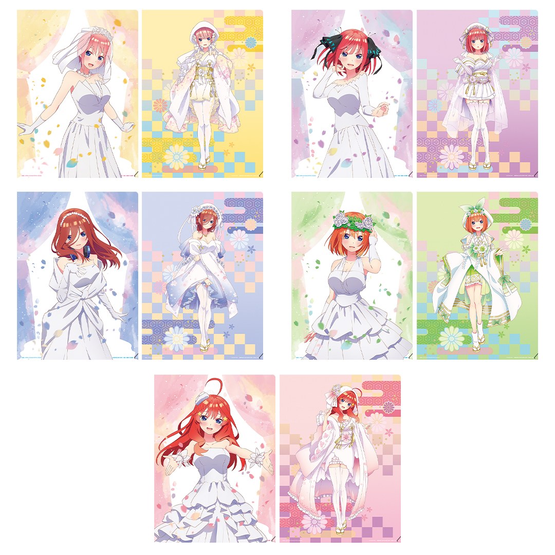 M) Folder Set(2pcs/1set)