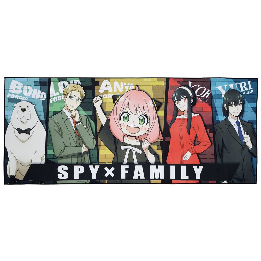 C) Towel