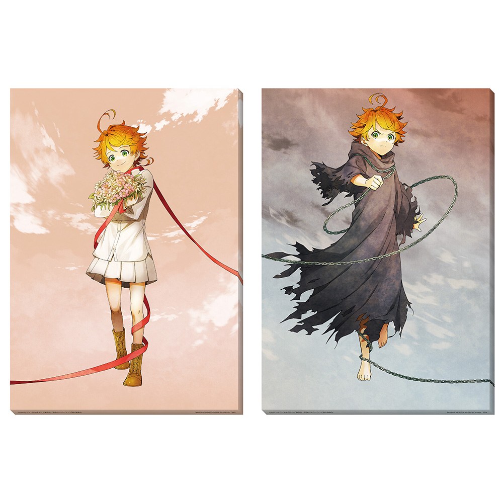 B) Illustration Board