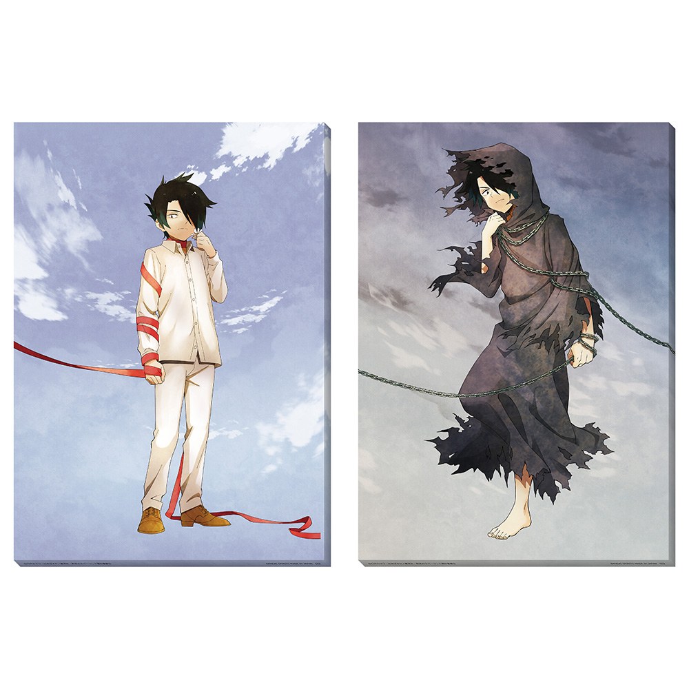 C) Illustration Board