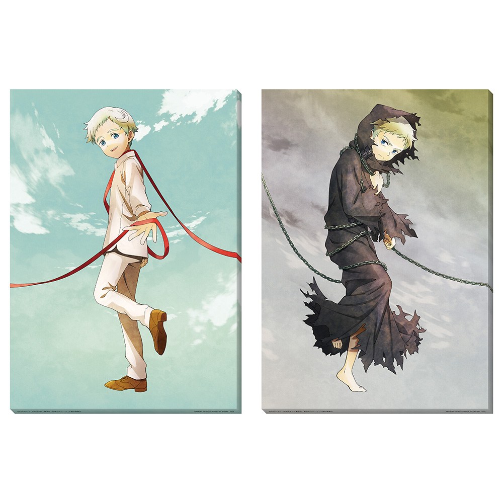 D) Illustration Board