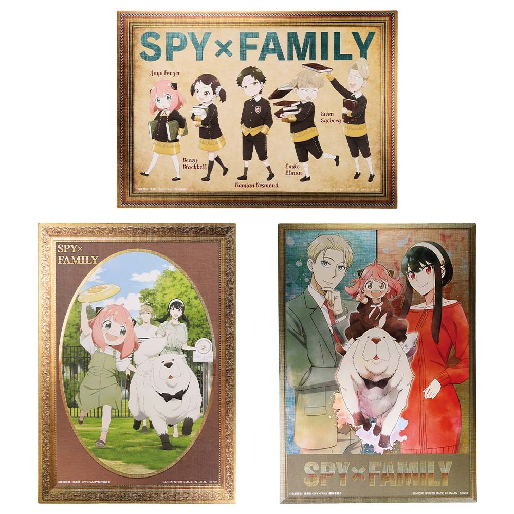 D) Illustration Board